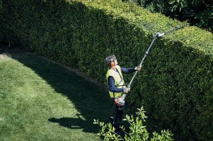 tall hedge maintenance